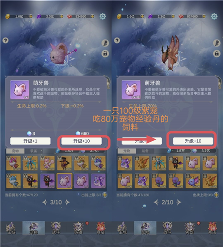 少女寻宝团宠物系统2