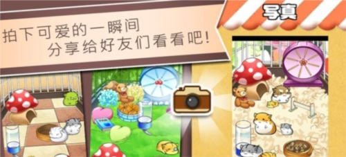 精灵与老鼠