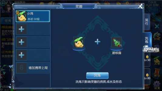 倩女幽魂OL的灵兽怎么获得?抓野外的可以用么?什么样的才算好的?_百度...