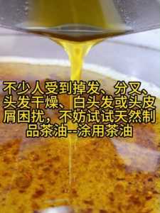 离谱的经历丧尸危机攻略