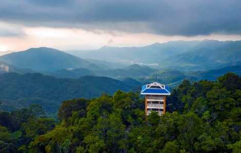 尖峰岭热带雨林的旅游攻略