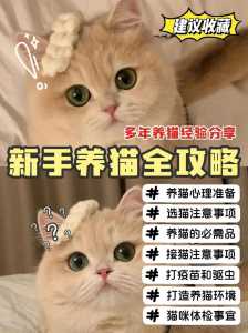 养猫攻略