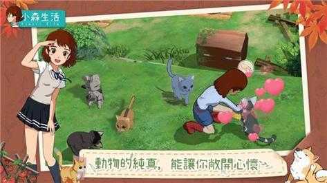 小森生活养猫攻略
