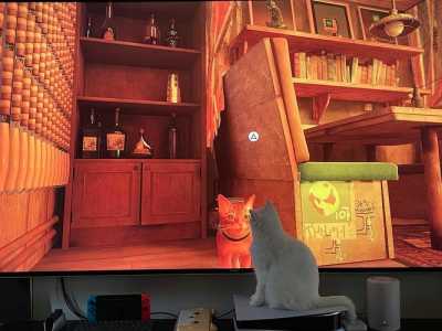 流浪猫模拟器有几种结局