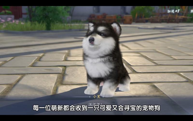 浮生忆玲珑宠物怎么搭配-宠物搭配推荐