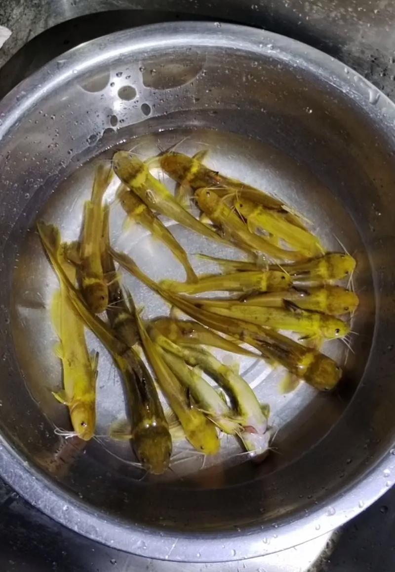 浮生忆玲珑如何钓鱼-钓鱼方法介绍