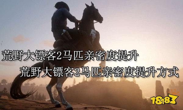 荒野大镖客2马匹默契度怎么快速提升-匹默契度快速提升方法