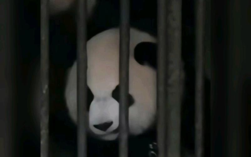 仙剑奇侠传7沉重的爱意任务怎么做-沉重的爱意任务攻略