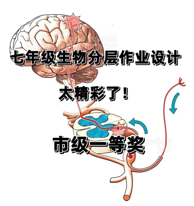 亚洲之子生物老师怎么攻略-生物老师攻略流程