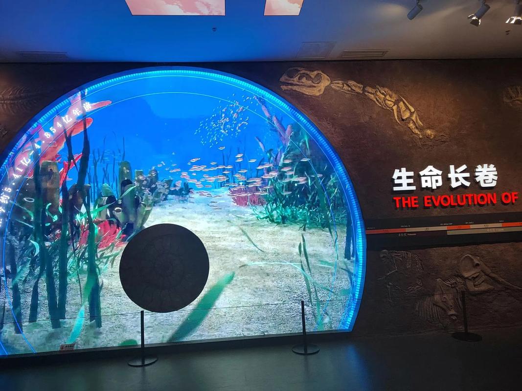 亚洲之子地质学家怎么攻略-地质学家攻略方法
