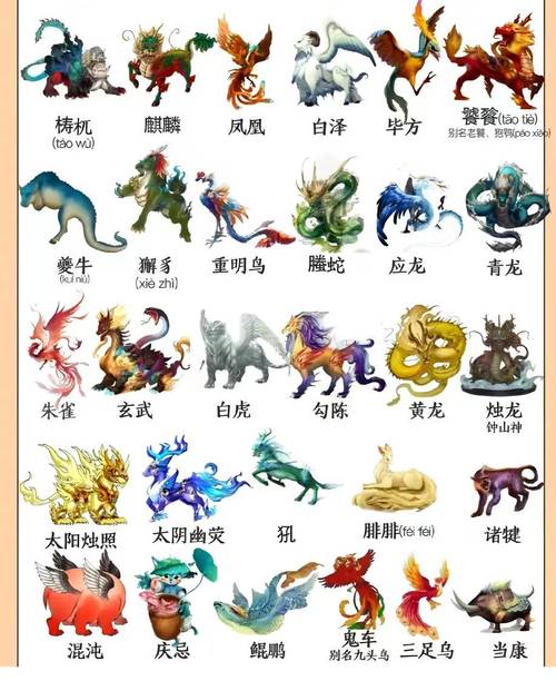 忘仙羽化石有什么作用-羽化石作用介绍