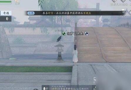 天涯明月刀黑鹰与少女奇遇任务怎么做-黑鹰与少女奇遇任务攻略