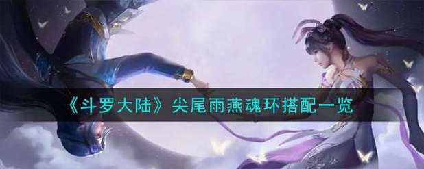 斗罗大陆h5尖尾雨燕魂环怎么搭配-尖尾雨燕魂环搭配推荐
