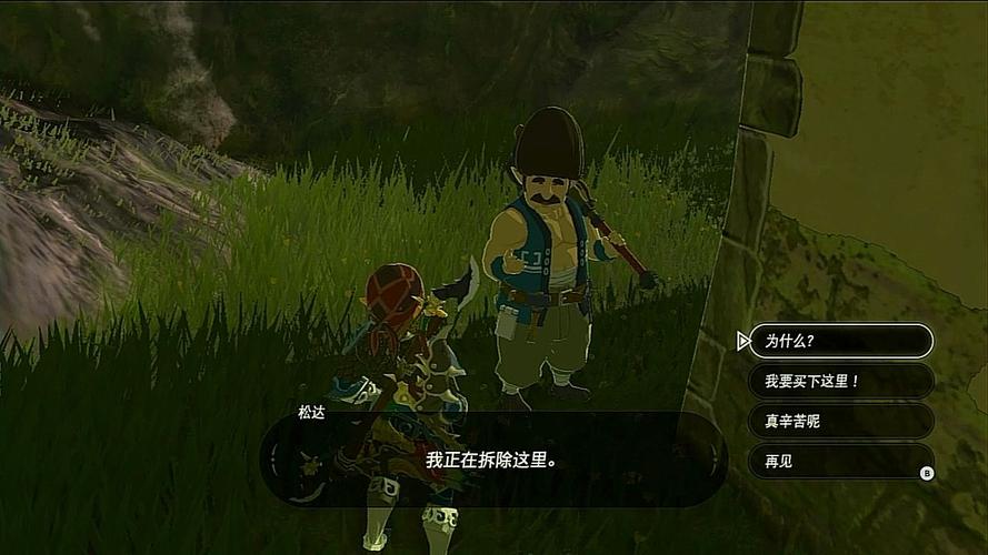 游戏《塞尔达传说旷野之息》有哪些经典玩法?