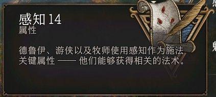 博德之门3邪术师选择什么技能-邪术师技能选择推荐
