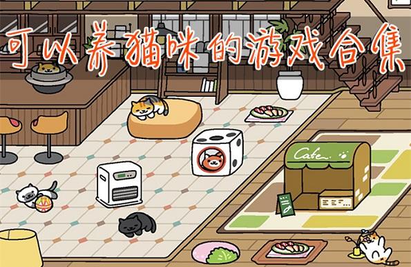 南宁想养猫攻略游戏，南宁市养猫管理规定？