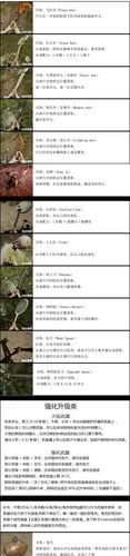 列支森林常用道具怎么制作-常用道具制作方法配方一览