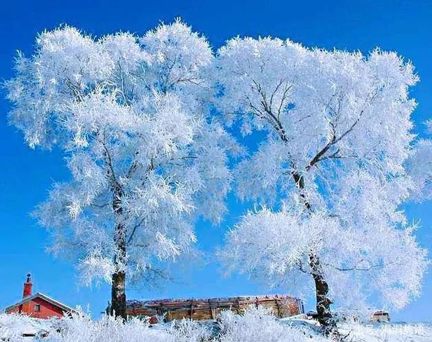 雪居之地菇麦芽资源需求如何-菇麦芽资源需求介绍