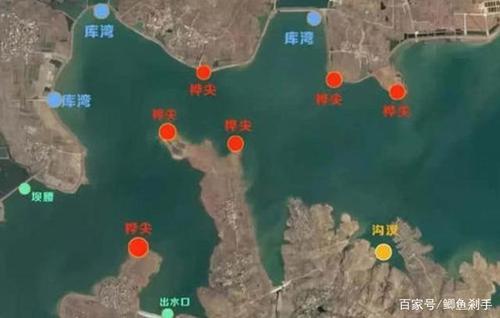 星球大战绝地幸存者带刺钩鱼在哪里钓-带刺钩鱼钓点介绍