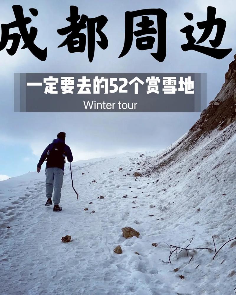 雪居之地雪猛猛输出如何-雪猛猛输出介绍一览