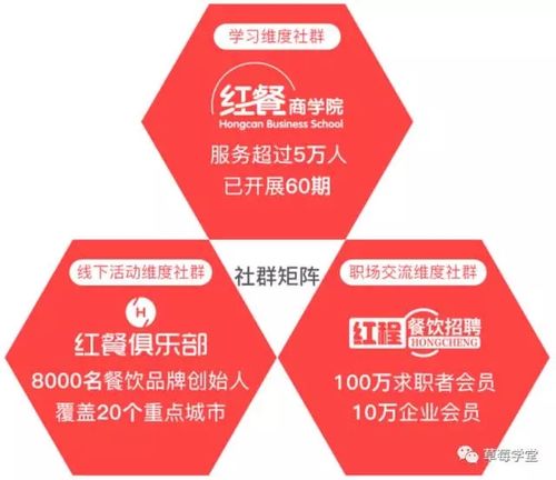 如何在美食社群中活跃起来