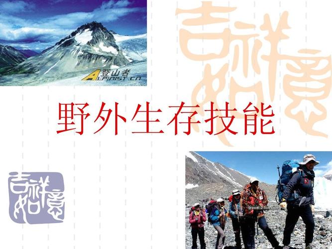 生存技能与技巧