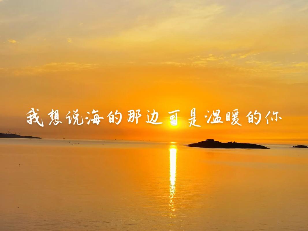 情感共鸣
