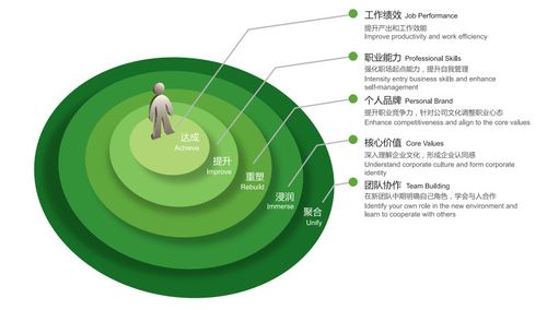 新游记角色游戏攻略，《新游记》角色游戏攻略大全