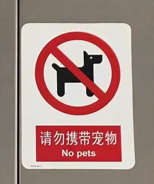 特别提醒