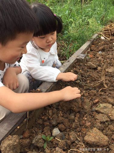 细心照料你的小青蛙