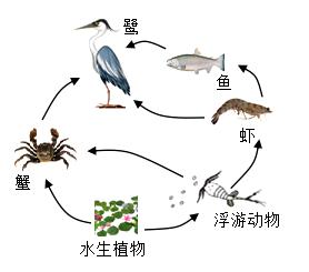 食物和水资源的获取