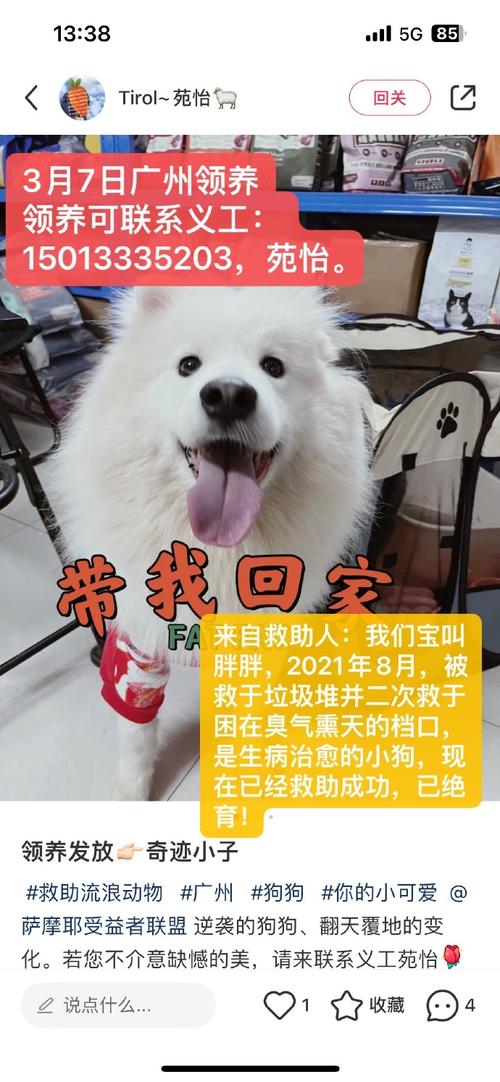 求助与帮助