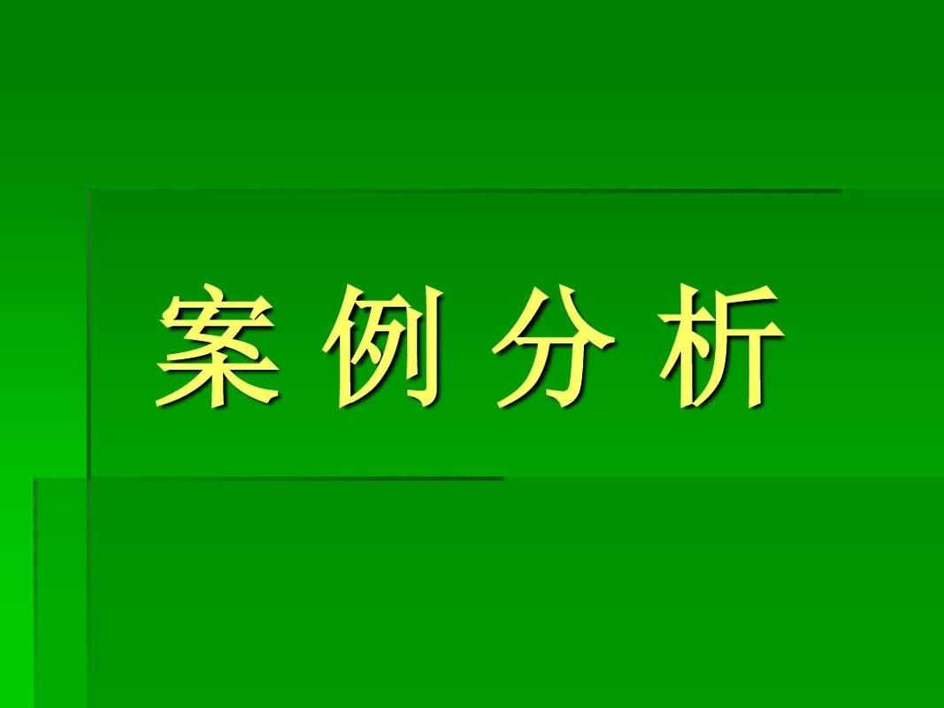 案例分析