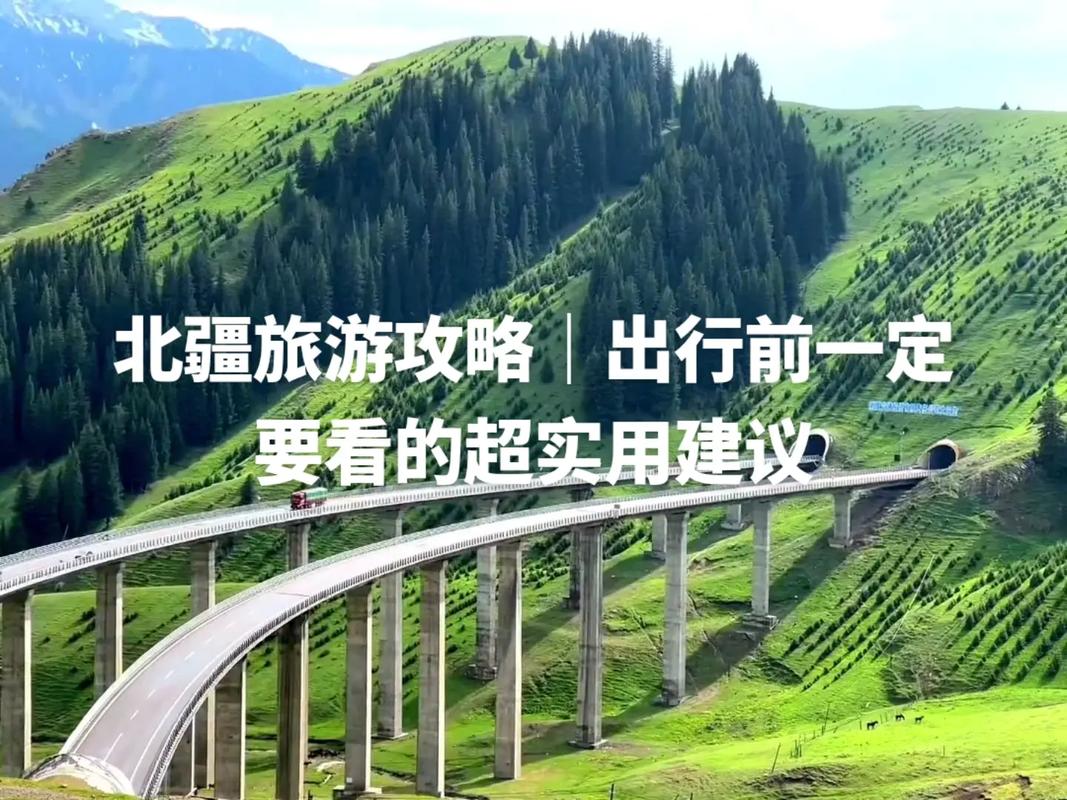 其他攻略建议