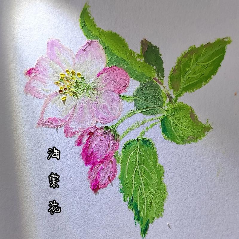新手入门