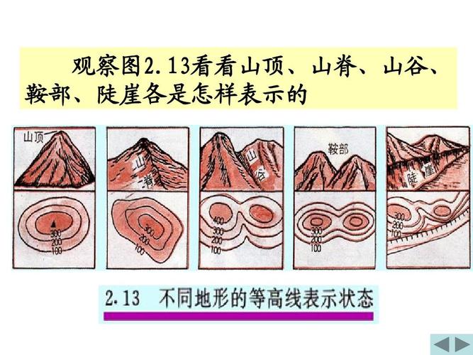 观察地形布局