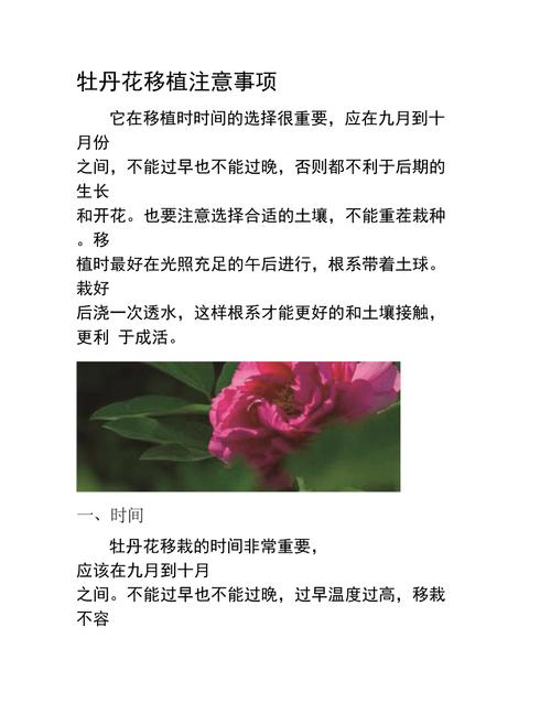 注意事项
