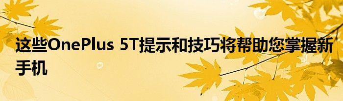其他提示和技巧