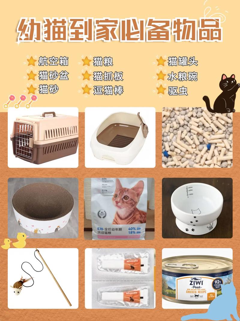 养猫前的准备