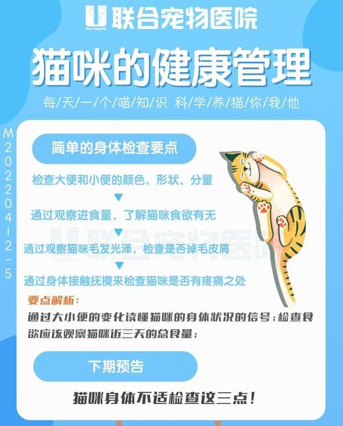 猫咪健康管理