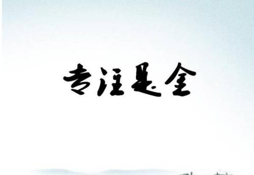 专注于一个方向