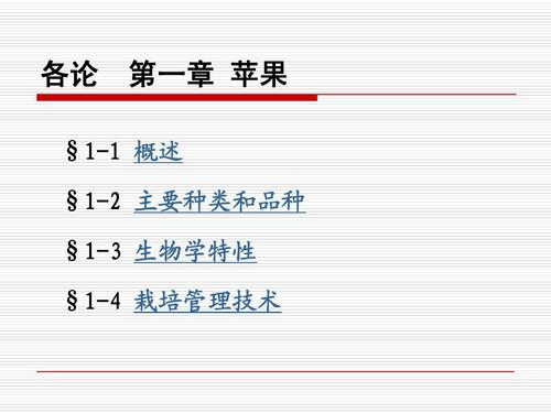 揭秘彩虹岛：新手攻略视频，《揭秘彩虹岛新手攻略视频：轻松入门，畅游奇幻世界！》