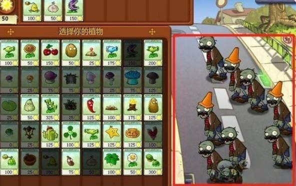 98801.jpg