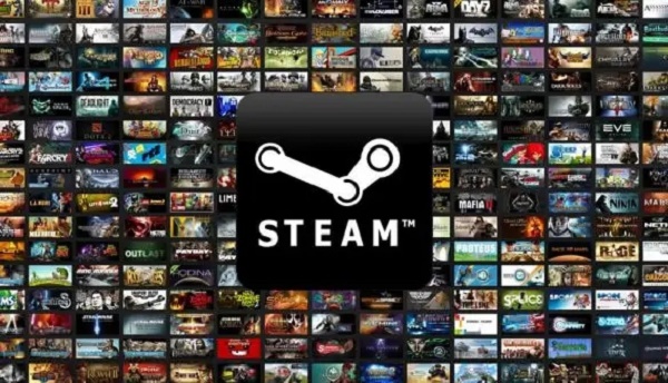 steam手机版登录不上只有验证码怎么办