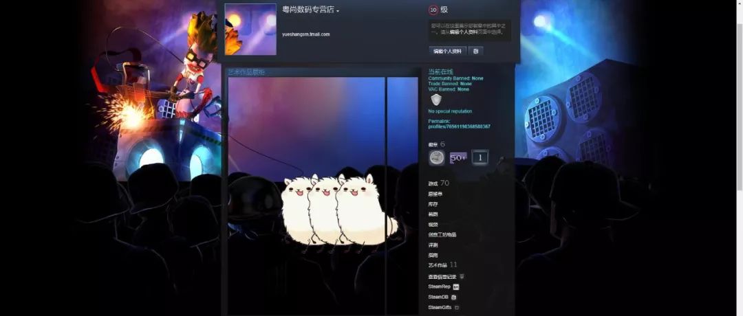 steam共享游戏太坑了，steam个人资料美化教程