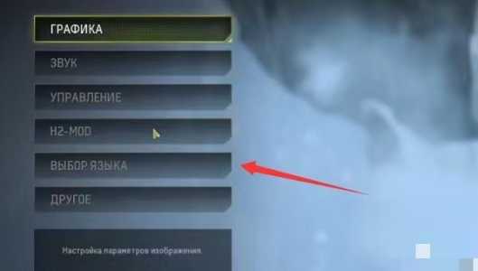 203.jpg