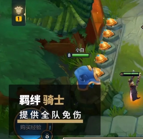 电脑玩金铲铲卡顿不流畅怎么解决，电脑版金铲铲为什么一直爆满