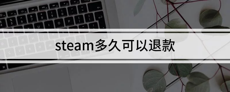 41.webp.jpg