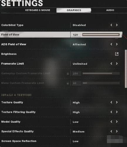 cod17语言设置在哪