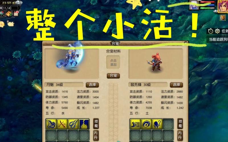 梦幻西游飞升129带什么宝宝最好?
